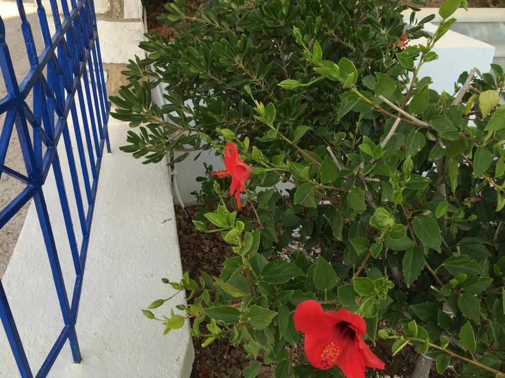 Sea Breeze Apartments Chios Monolia Екстериор снимка