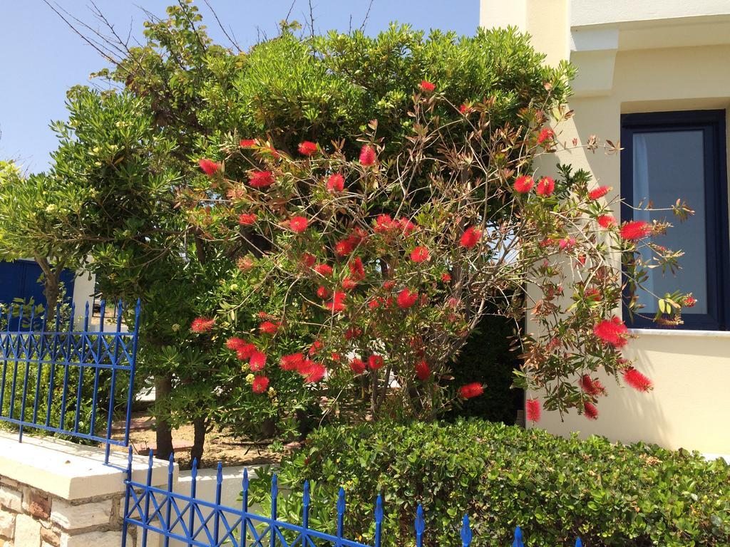 Sea Breeze Apartments Chios Monolia Екстериор снимка