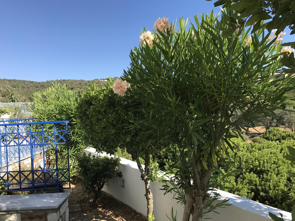 Sea Breeze Apartments Chios Monolia Екстериор снимка